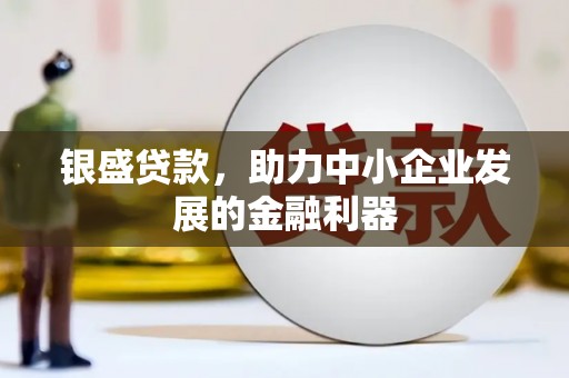 临湘银盛贷款，助力中小企业发展的金融利器