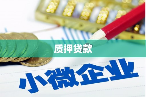 临湘质押贷款