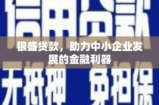 临湘银盛贷款，助力中小企业发展的金融利器