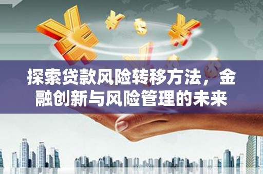 临湘探索贷款风险转移方法，金融创新与风险管理的未来