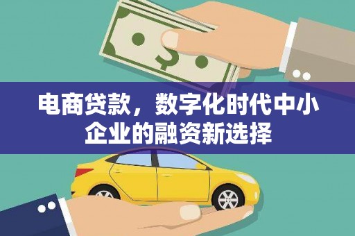 临湘电商贷款，数字化时代中小企业的融资新选择