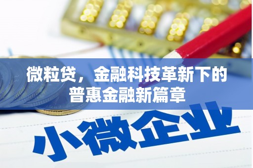 临湘微粒贷，金融科技革新下的普惠金融新篇章