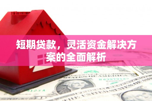 临湘短期贷款，灵活资金解决方案的全面解析
