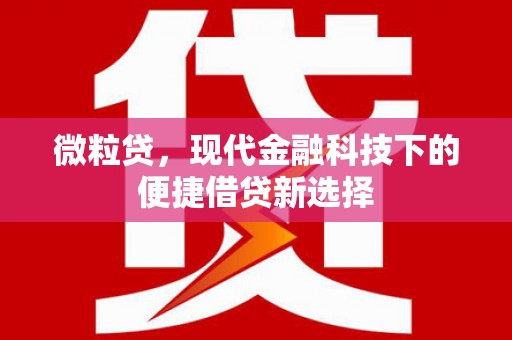 临湘微粒贷，现代金融科技下的便捷借贷新选择