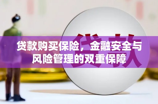 临湘贷款购买保险，金融安全与风险管理的双重保障