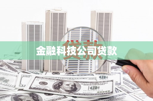 临湘金融科技公司贷款