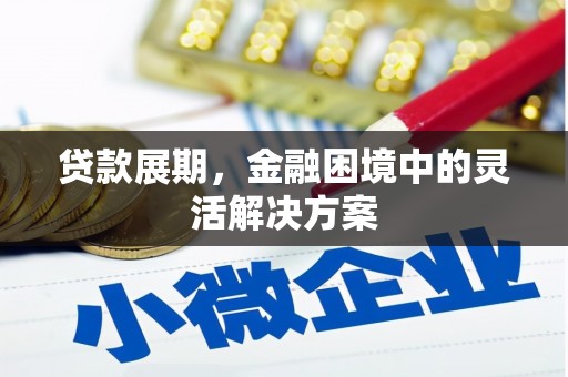 临湘贷款展期，金融困境中的灵活解决方案