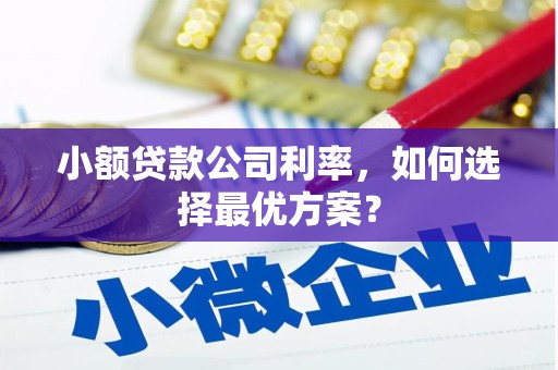 临湘小额贷款公司利率，如何选择最优方案？