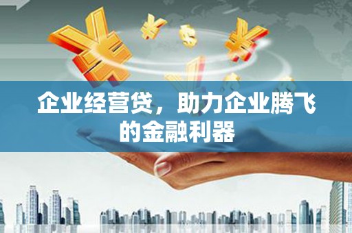 临湘企业经营贷，助力企业腾飞的金融利器