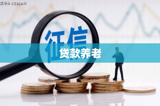 临湘贷款养老