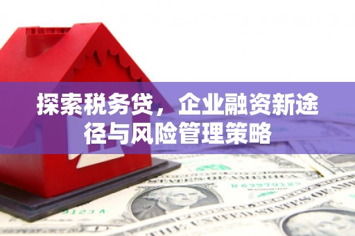 临湘探索税务贷，企业融资新途径与风险管理策略