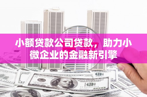 临湘小额贷款公司贷款，助力小微企业的金融新引擎