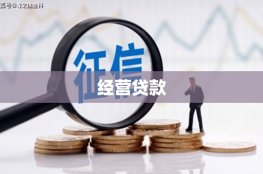 临湘经营贷款