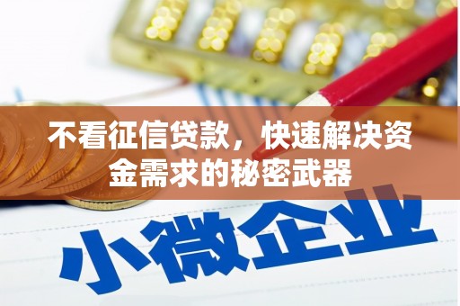 临湘不看征信贷款，快速解决资金需求的秘密武器