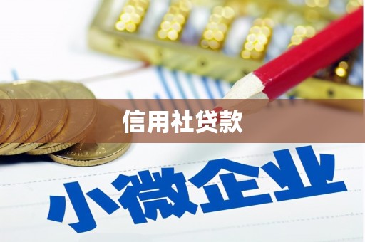临湘信用社贷款