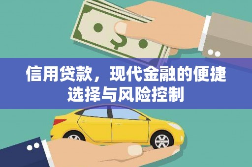 临湘信用贷款，现代金融的便捷选择与风险控制