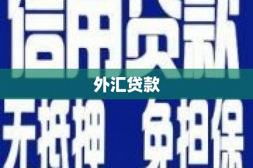临湘外汇贷款