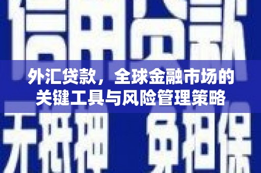 临湘外汇贷款，全球金融市场的关键工具与风险管理策略