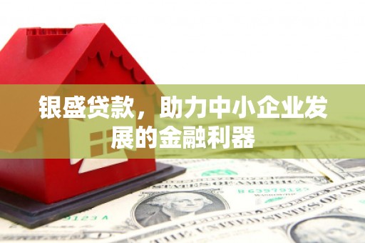 临湘银盛贷款，助力中小企业发展的金融利器