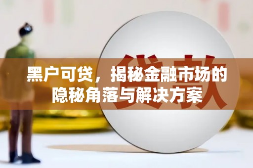 临湘黑户可贷，揭秘金融市场的隐秘角落与解决方案