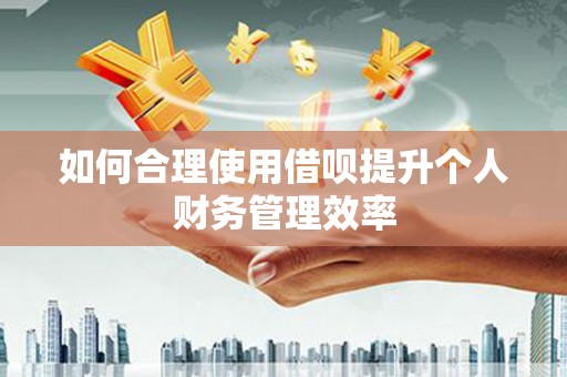 临湘如何合理使用借呗提升个人财务管理效率