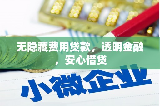 临湘无隐藏费用贷款，透明金融，安心借贷