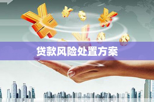 临湘贷款风险处置方案