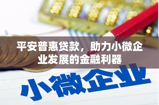 临湘平安普惠贷款，助力小微企业发展的金融利器