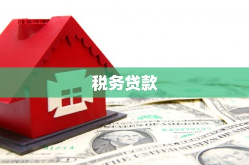 临湘税务贷款