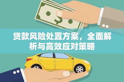 临湘贷款风险处置方案，全面解析与高效应对策略