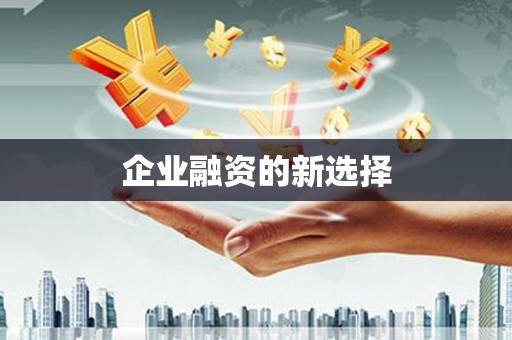 临湘企业融资的新选择