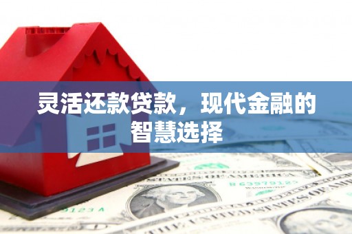 临湘灵活还款贷款，现代金融的智慧选择