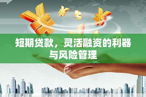 临湘短期贷款，灵活融资的利器与风险管理