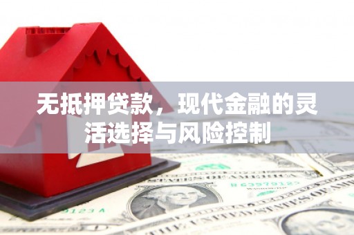临湘无抵押贷款，现代金融的灵活选择与风险控制