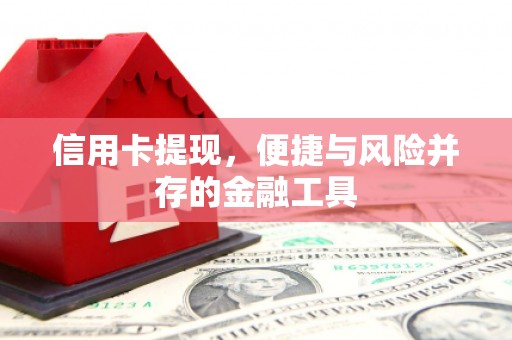 临湘信用卡提现，便捷与风险并存的金融工具