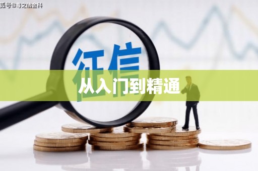 临湘从入门到精通