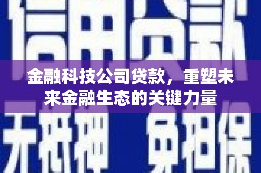 临湘金融科技公司贷款，重塑未来金融生态的关键力量