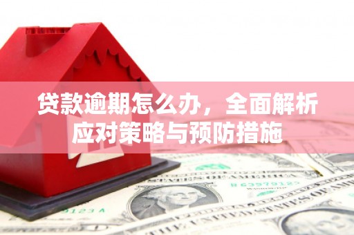 临湘贷款逾期怎么办，全面解析应对策略与预防措施