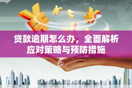 临湘贷款逾期怎么办，全面解析应对策略与预防措施