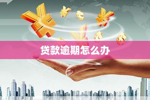 临湘贷款逾期怎么办