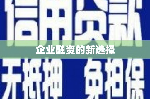 临湘企业融资的新选择