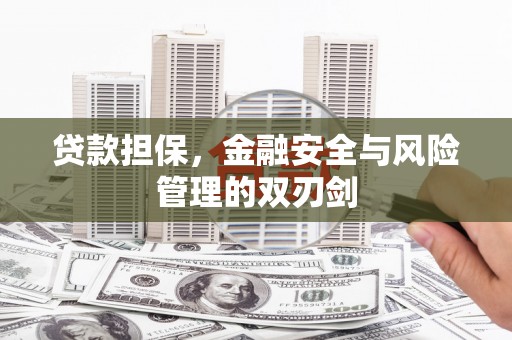临湘贷款担保，金融安全与风险管理的双刃剑
