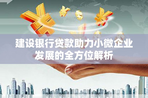 临湘建设银行贷款助力小微企业发展的全方位解析