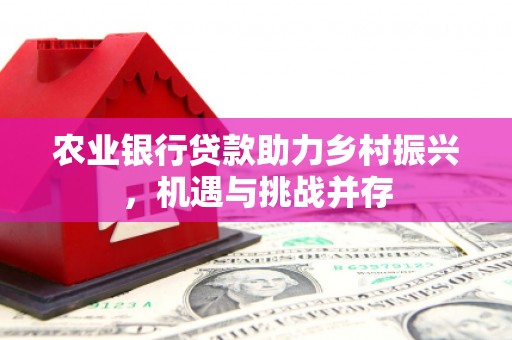 临湘农业银行贷款助力乡村振兴，机遇与挑战并存