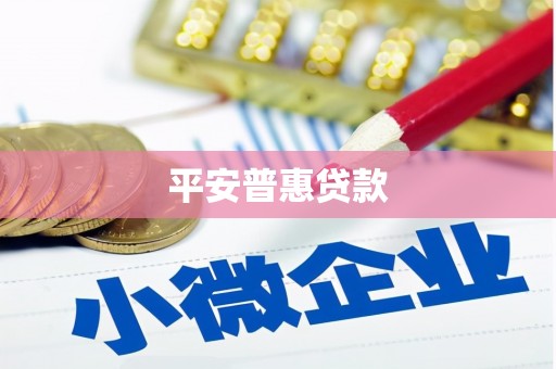 临湘平安普惠贷款