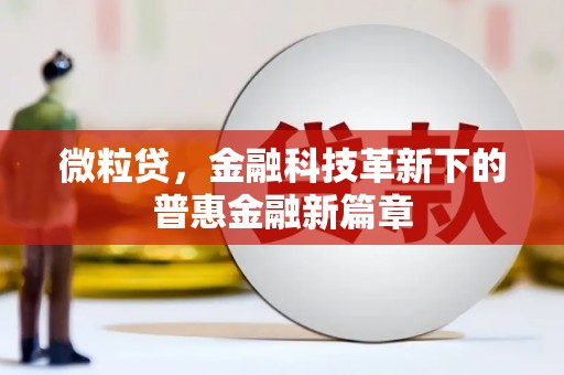 临湘微粒贷，金融科技革新下的普惠金融新篇章