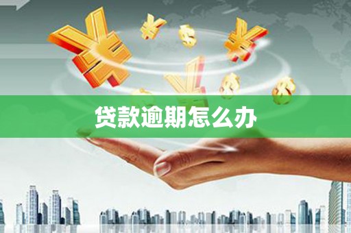 临湘贷款逾期怎么办