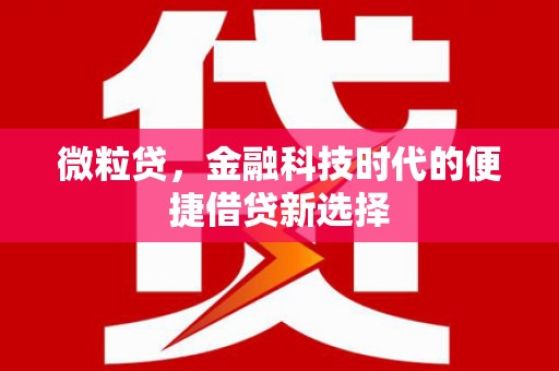 临湘微粒贷，金融科技时代的便捷借贷新选择