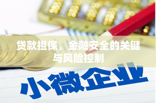 临湘贷款担保，金融安全的关键与风险控制