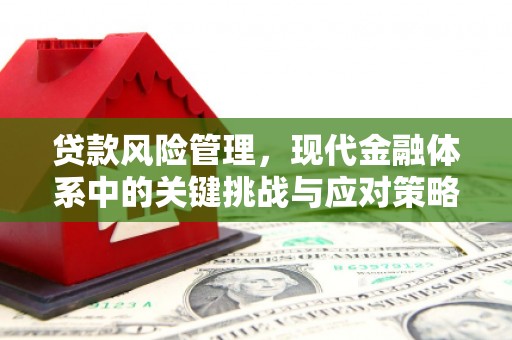 临湘贷款风险管理，现代金融体系中的关键挑战与应对策略